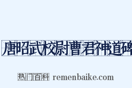 唐昭武校尉曹君神道碑是什么意思的图片
